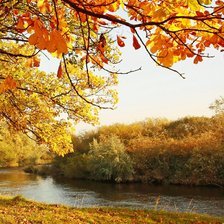 Солнечная осень 2