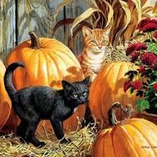 Схема вышивки «котики в тыквах»