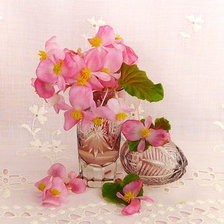 Схема вышивки «бегония»