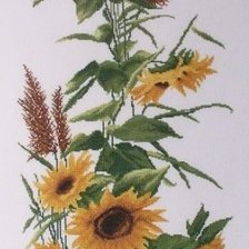 Схема вышивки «подсолнухи»