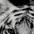 Предпросмотр схемы вышивки «тигр» (№856038)