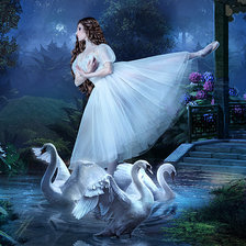 Схема вышивки «лебединое озеро»