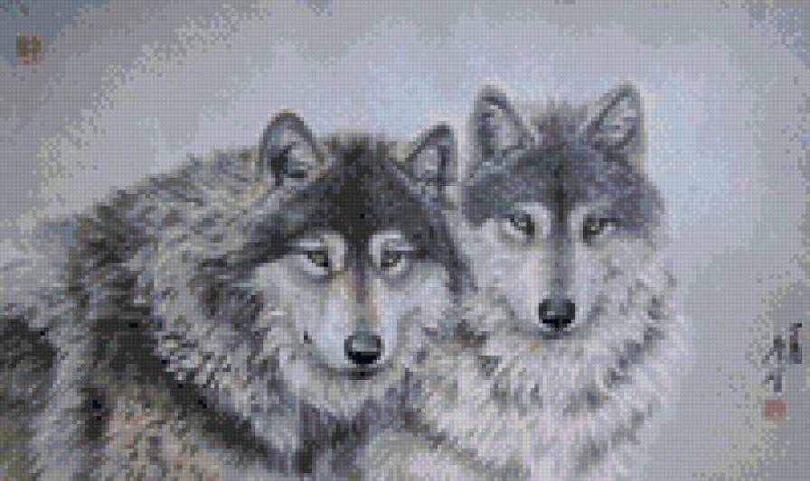 пара волков - волки - предпросмотр