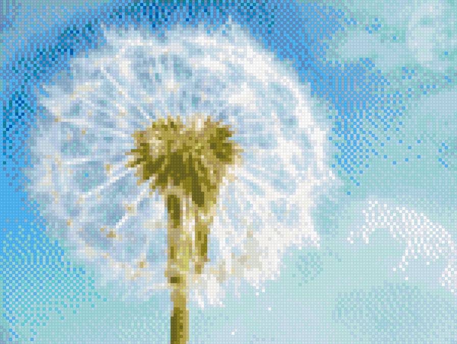 Одуванчик - цветок - предпросмотр