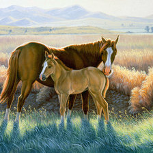 Схема вышивки «Лошади в степи»