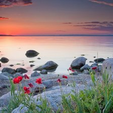 Схема вышивки «маки в закате»