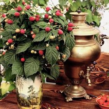 Схема вышивки «№856439»