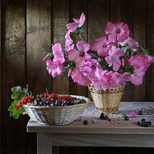 Схема вышивки «№856444»