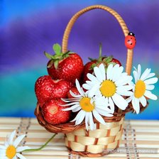 Схема вышивки «№856447»