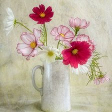 Схема вышивки «№856450»