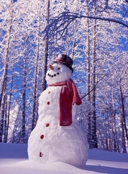 Снеговик - снег, снеговик, зима - оригинал