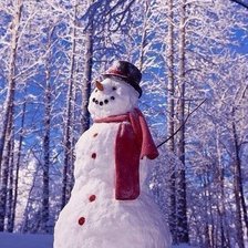 Схема вышивки «Снеговик»