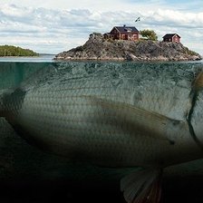 Схема вышивки «Иллюзия»