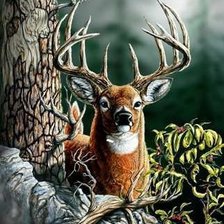 Схема вышивки «Олени»