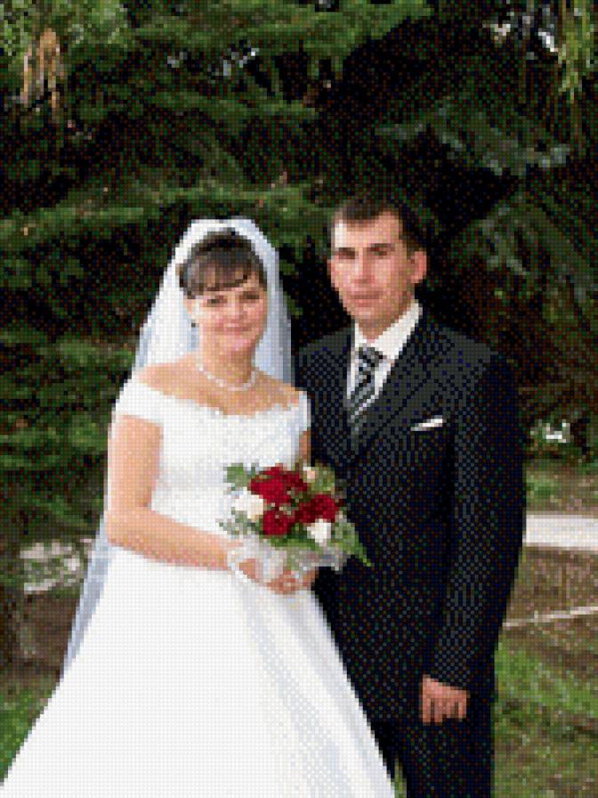 свадьба - предпросмотр