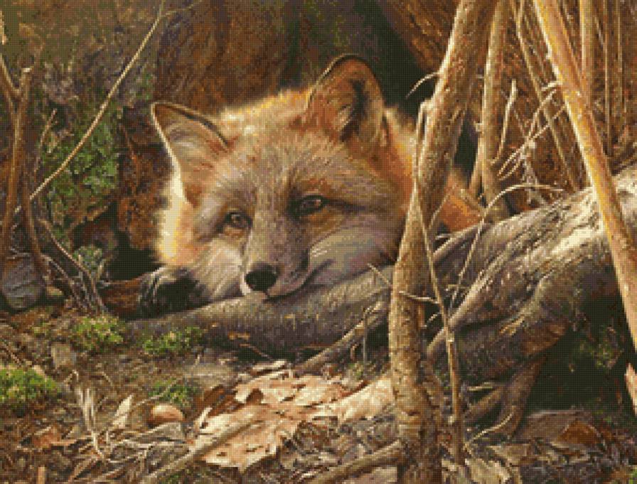 лисичка - предпросмотр