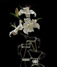 Схема вышивки «три силуэта»