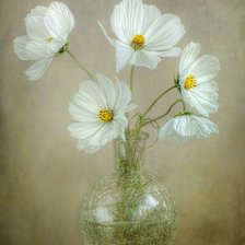 Схема вышивки «№856777»