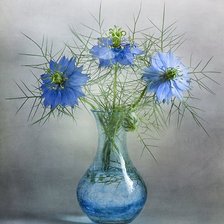 Схема вышивки «№856788»