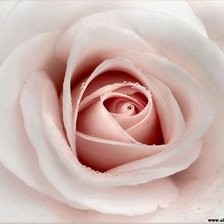 Схема вышивки «№856792»