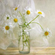 Схема вышивки «№856819»