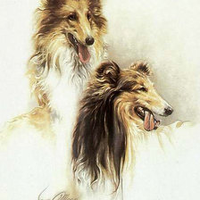 Схема вышивки «собаки»