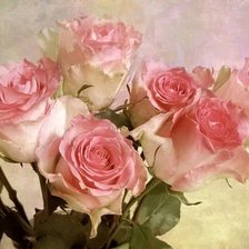 Схема вышивки «розы»