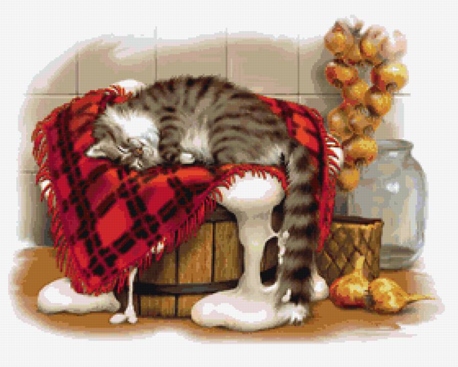 Кот на кухне - животные, кот - предпросмотр