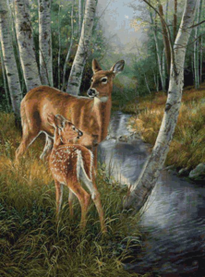 Олени у реки - река, олени, природа - предпросмотр