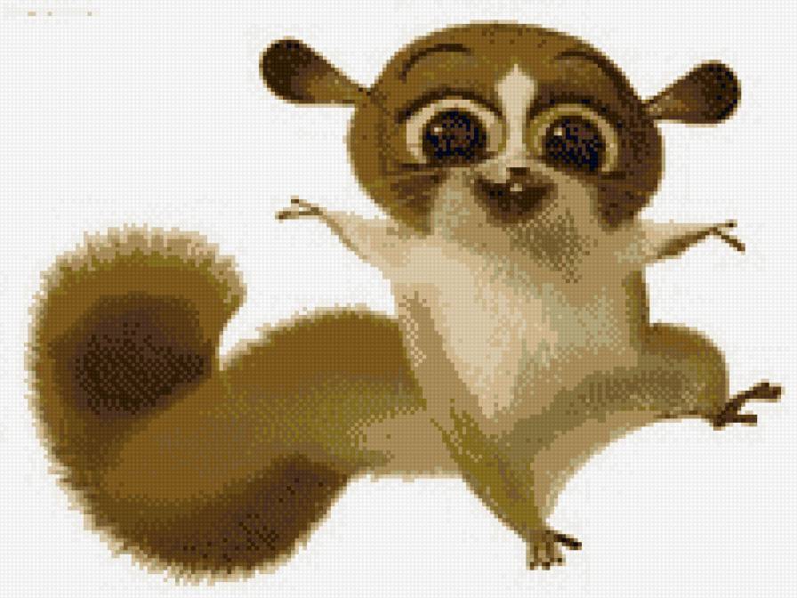 Друг Лемура - мадагаскар, лемур, друг, ми ми, животные - предпросмотр