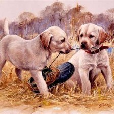 Схема вышивки «Лабрадоры»