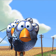 Схема вышивки «Птицы»