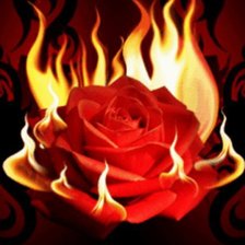 Схема вышивки «роза»