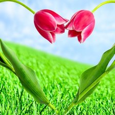 Схема вышивки «8 марта»