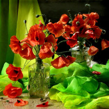 Схема вышивки «маки на фоне зеленой ткани»