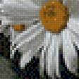 Предпросмотр схемы вышивки «ромашки» (№857381)