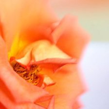 Схема вышивки «Полиптих 3»