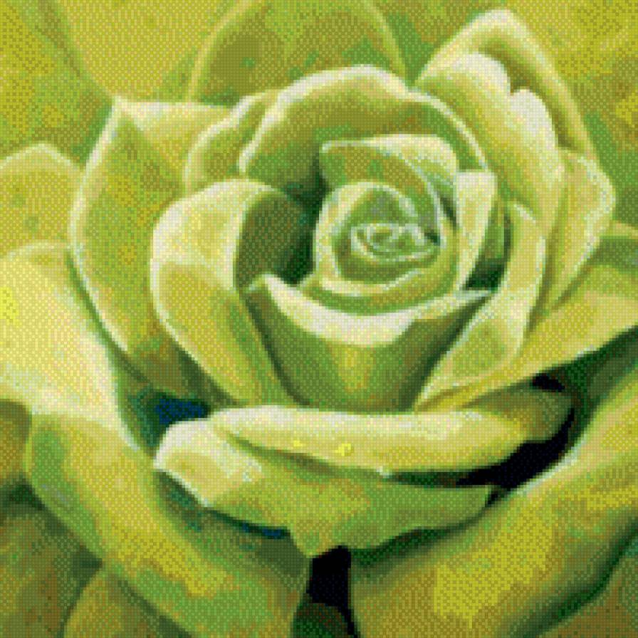 розочка - предпросмотр