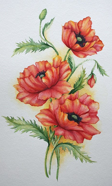 красные маки - оригинал