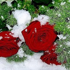 Схема вышивки «№857801»