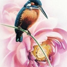 Схема вышивки «Калибри»