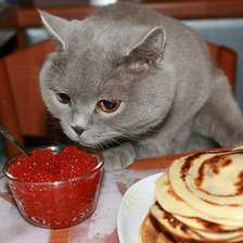 А коту - масленница