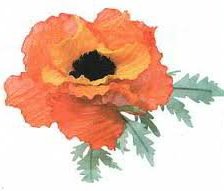 Схема вышивки «мак»