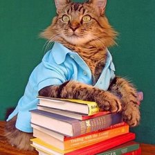 Схема вышивки «Професор»