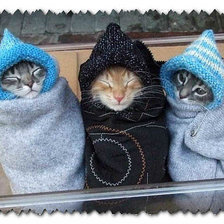 Схема вышивки «Тройня»