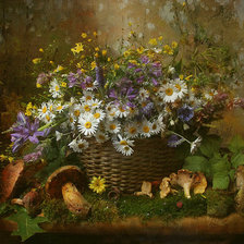 цветы и грибы