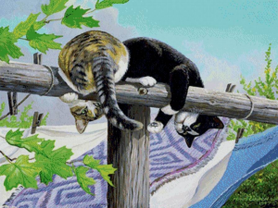 котики - кошки, котики, коты, лето, детское, животные, игра - предпросмотр