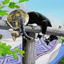 Схема вышивки «котики»