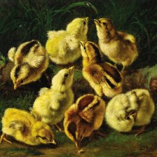 Схема вышивки «цыплята»