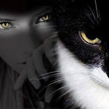 Схема вышивки «Кошка которая гуляет сама по себе»